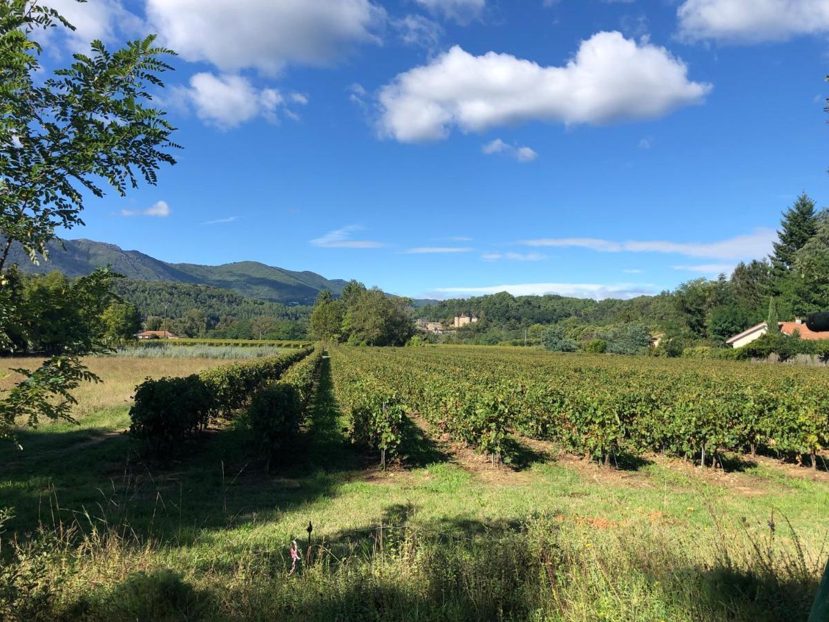 Terres De France - Le Domaine Des Vans Chambonas Exterior photo